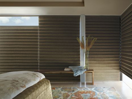 Hunter Douglas Vignette Modern Roman Shades
